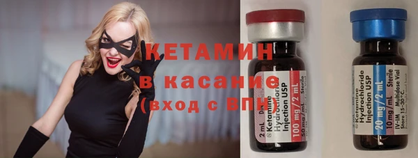 стаф Алексин