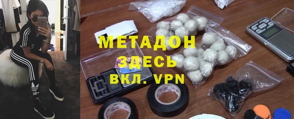стаф Алексин